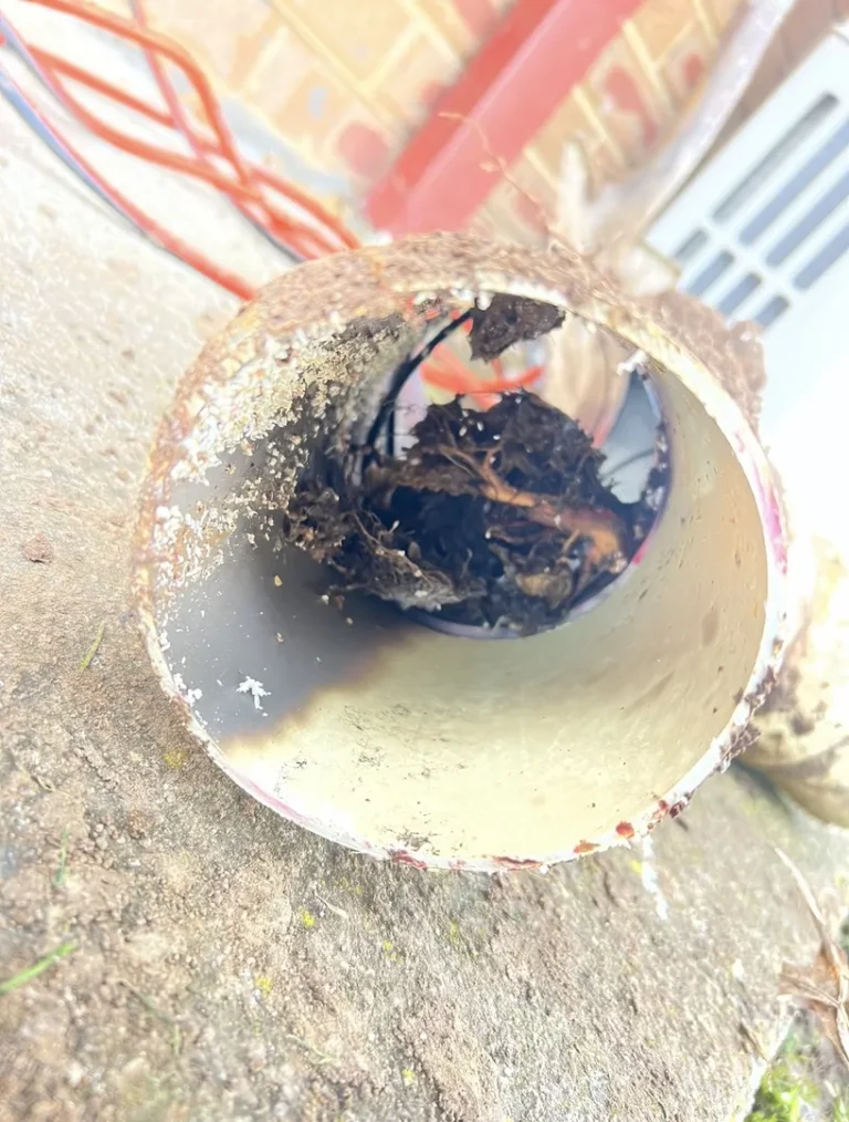 Clogged pipe with debris and organic material.