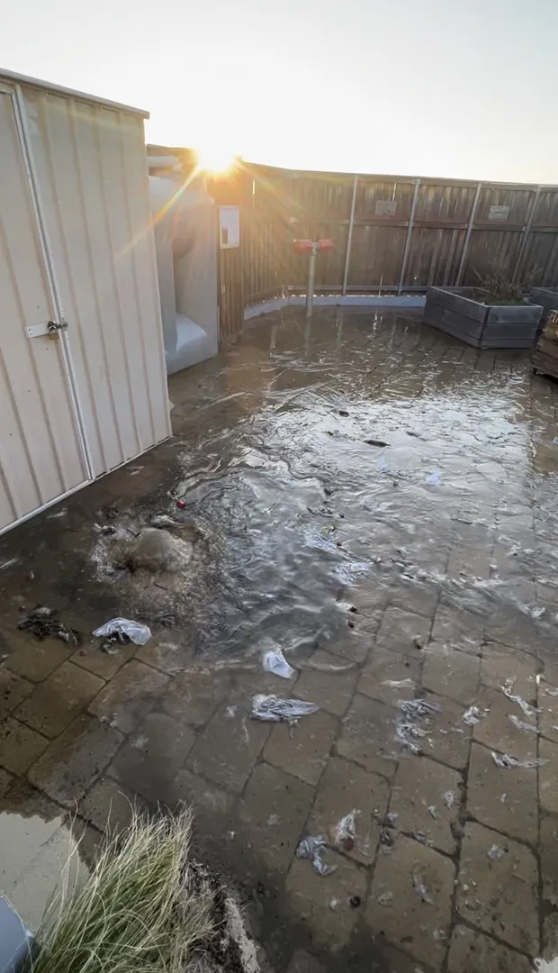 Flooded backyard with standing water and scattered debris.