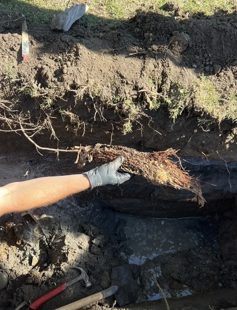 Excavated trench showing soil and roots removal process.