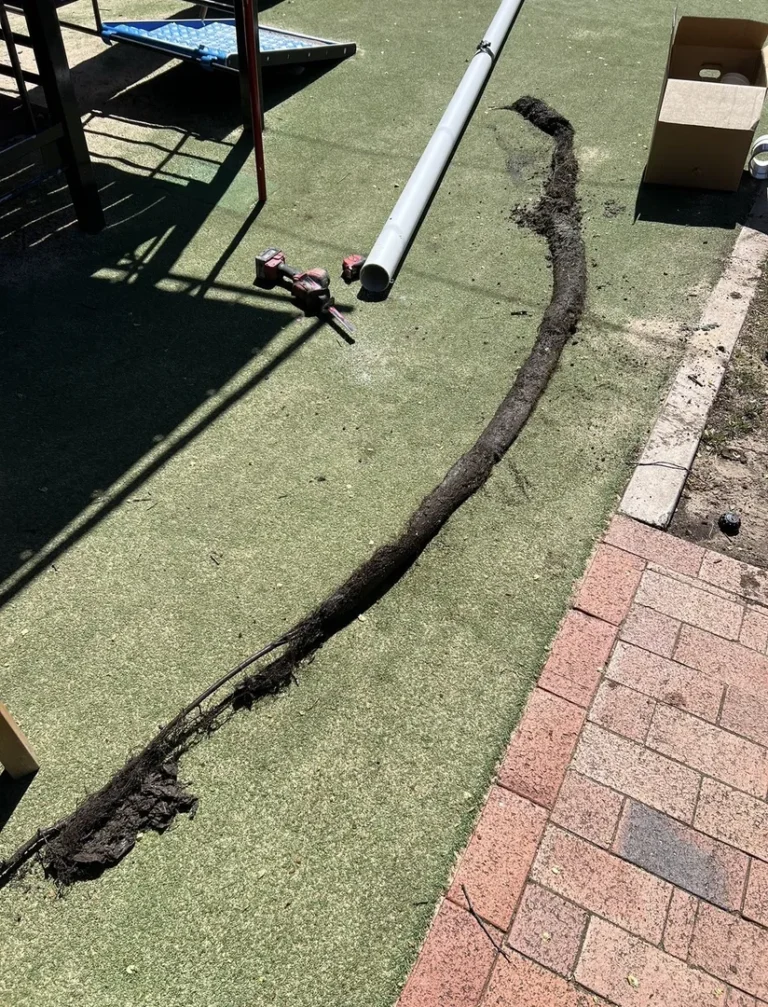 Tree root removed from buried pipe in playground.