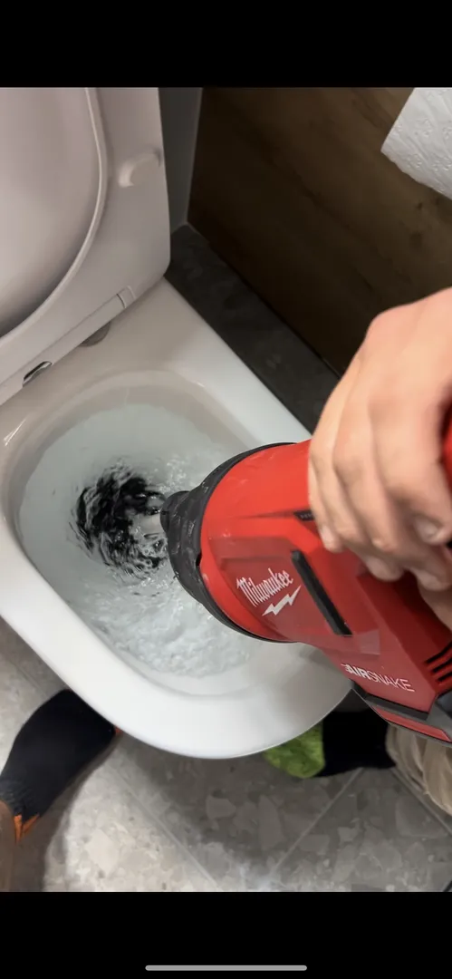Using a tool to unclog a toilet.